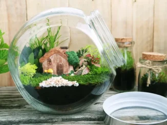สวนขวดแก้วขนาดเล็ก